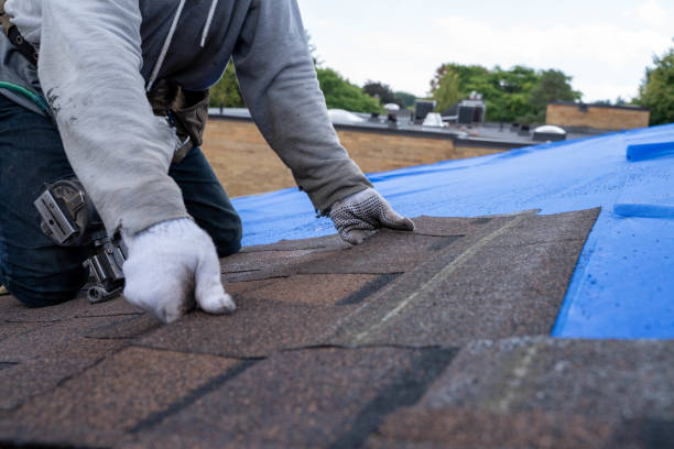 Best Roof Repair Services  in Yazoo City, MS